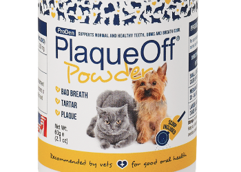 February is Pet Dental Health Month