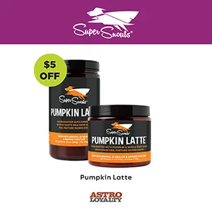 2025-MAY-Pumpkin-Latte-300