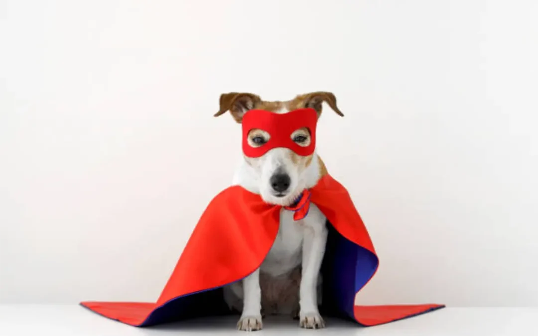 Service Dogs – Super Pups Behind the Mask: The Real Heroes Among Us