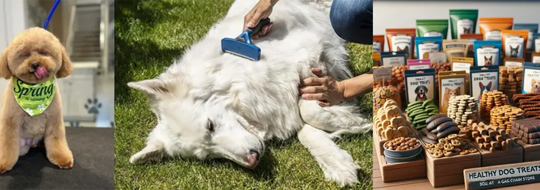 May Pet Care Guide: Fresh Starts, Healthy Habits & More Tail Wags in Phoenix & Scottsdale