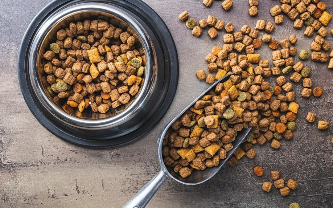 Why Freeze-Dried Food Is a Great Choice for Your Pet
