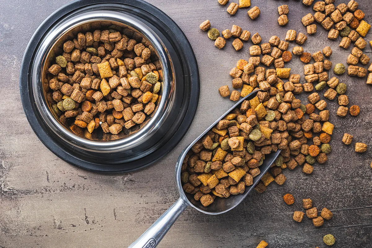 Why Freeze-Dried Food Is a Great Choice for Your Pet